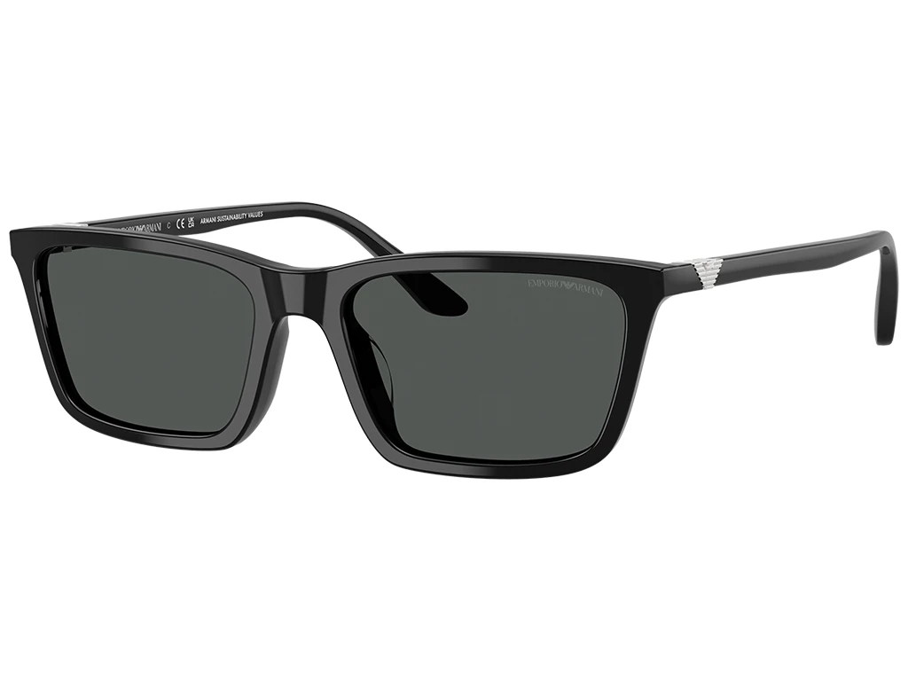 Emporio Armani EA4239U 501787 Black 55