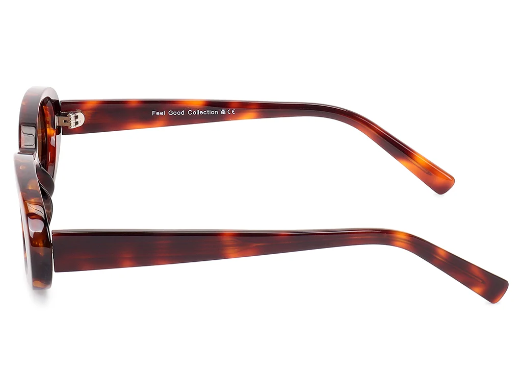 Feel Good Collection Amsterdam 12 Tortoise 51 Polarised