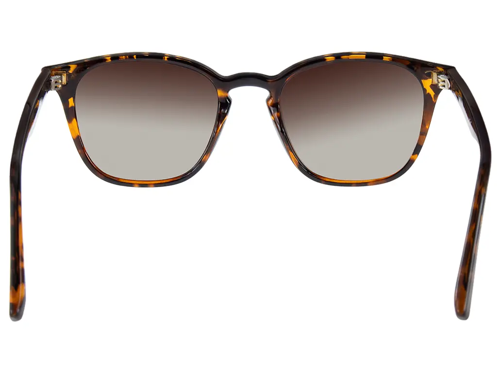 Feel Good Collection Elijah Tortoise Polarised