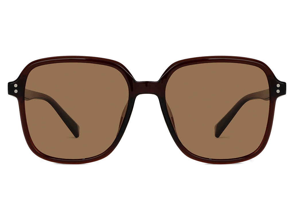 Feel Good Collection Hollis 11 Coffee 55 Polarised