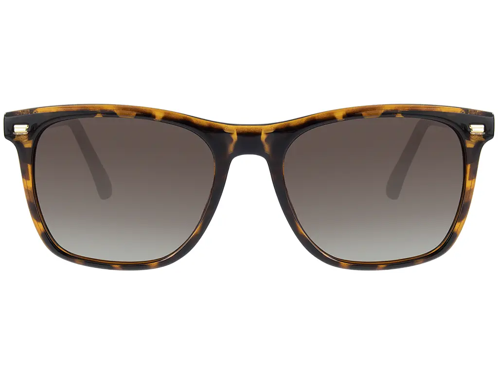 Feel Good Collection Sasha Tortoise Polarised