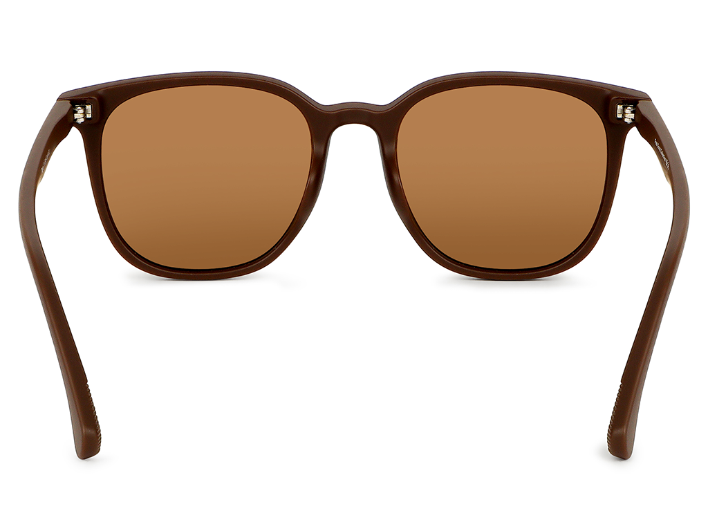 Feel Good Collection Taye 11 Coffee 50 Polarised