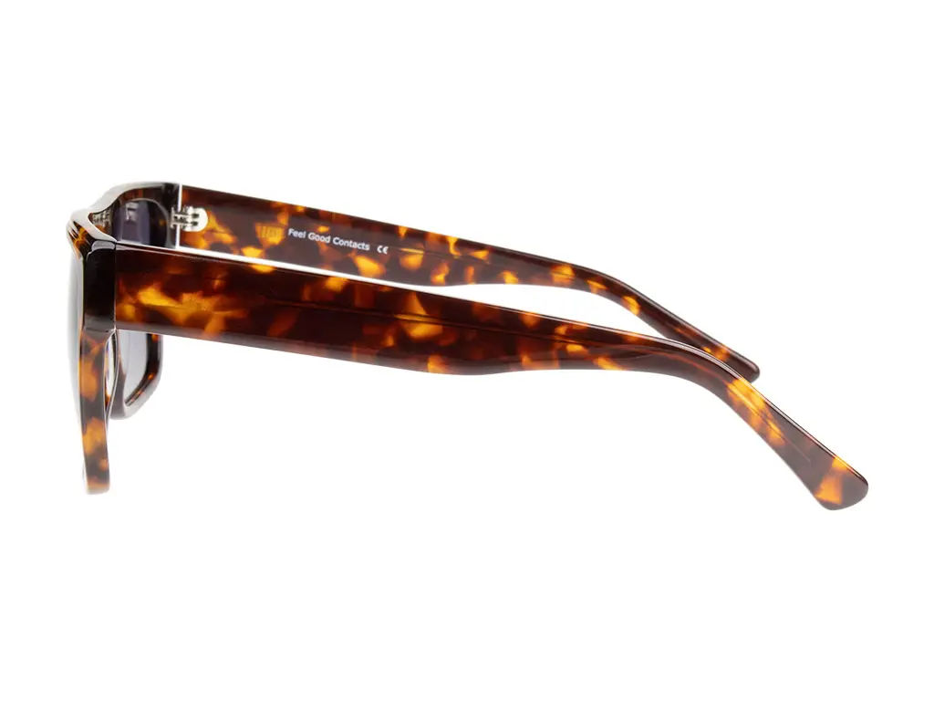 Feel Good Collection Hayden C2 Tortoise Polarised