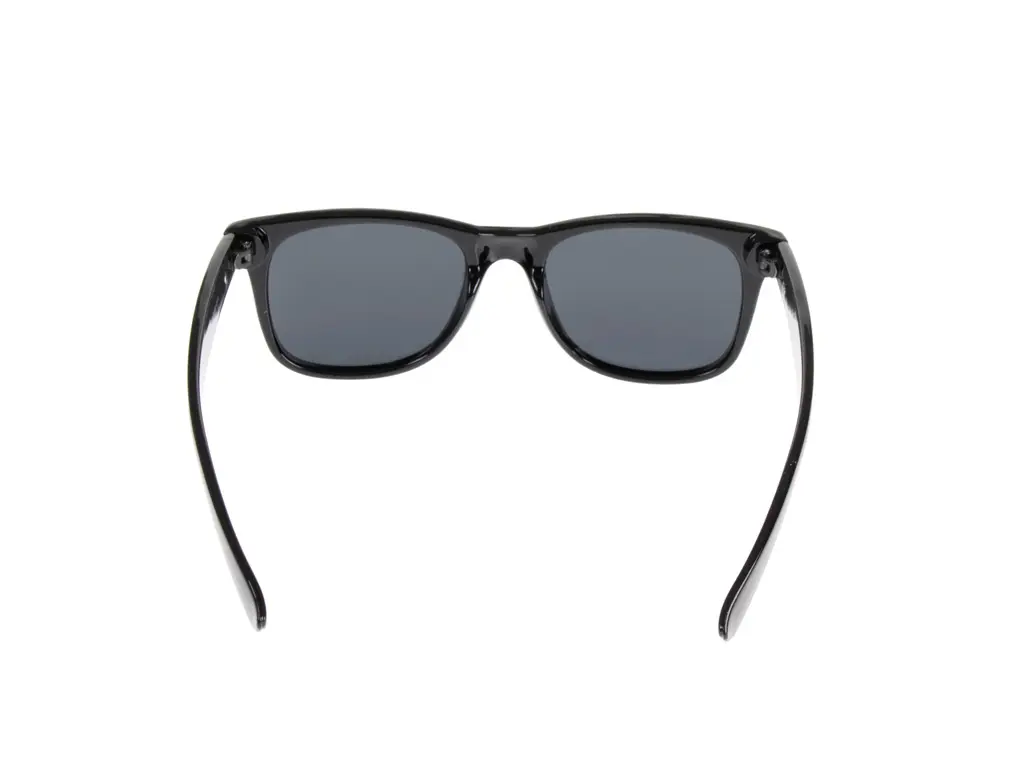 Feel Good Collection Lee C01 Smoke Polarised