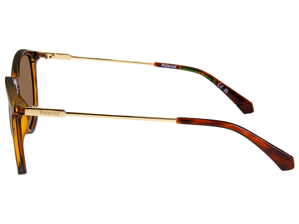 Polaroid PLD 4143/S/X 086 Tortoise 53 Polarised