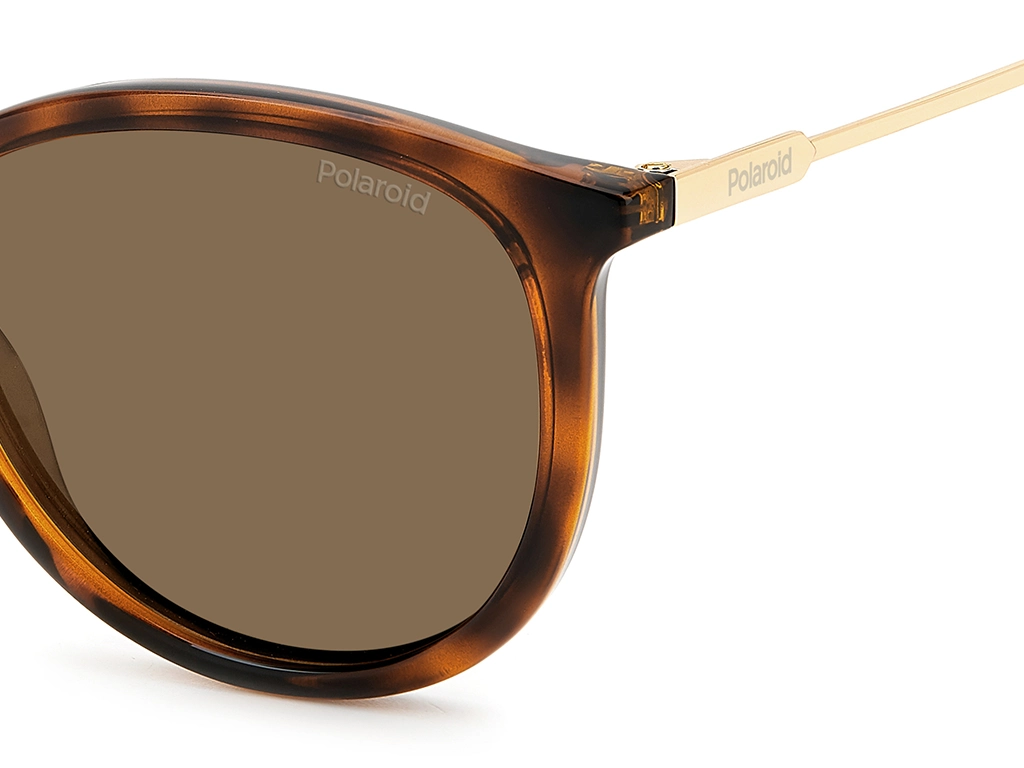 Polaroid PLD 4143/S/X 086 Tortoise 53 Polarised