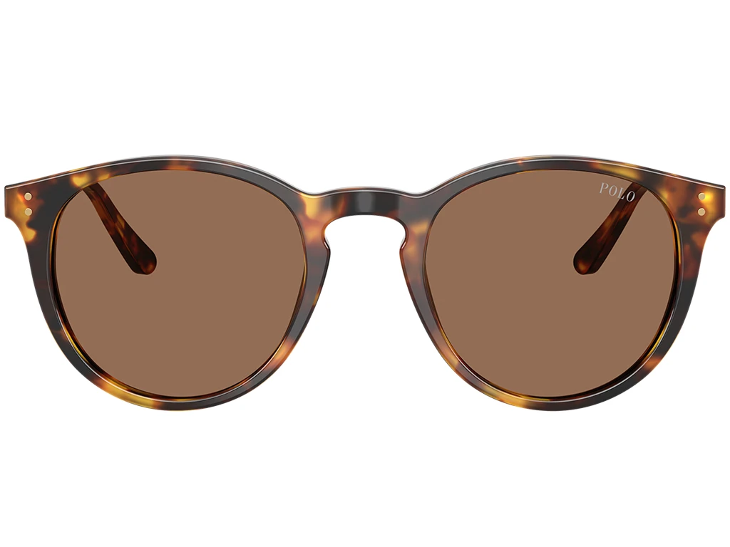 Polo Ralph Lauren PH4110 513473 Havana 50
