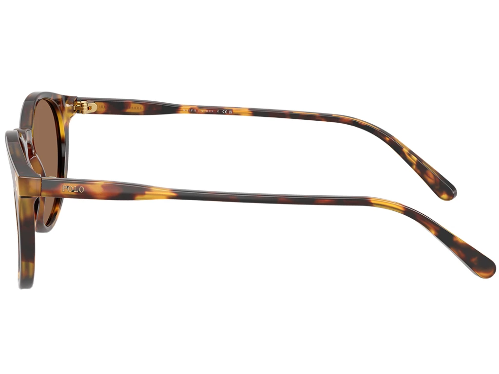 Polo Ralph Lauren PH4110 513473 Havana 50
