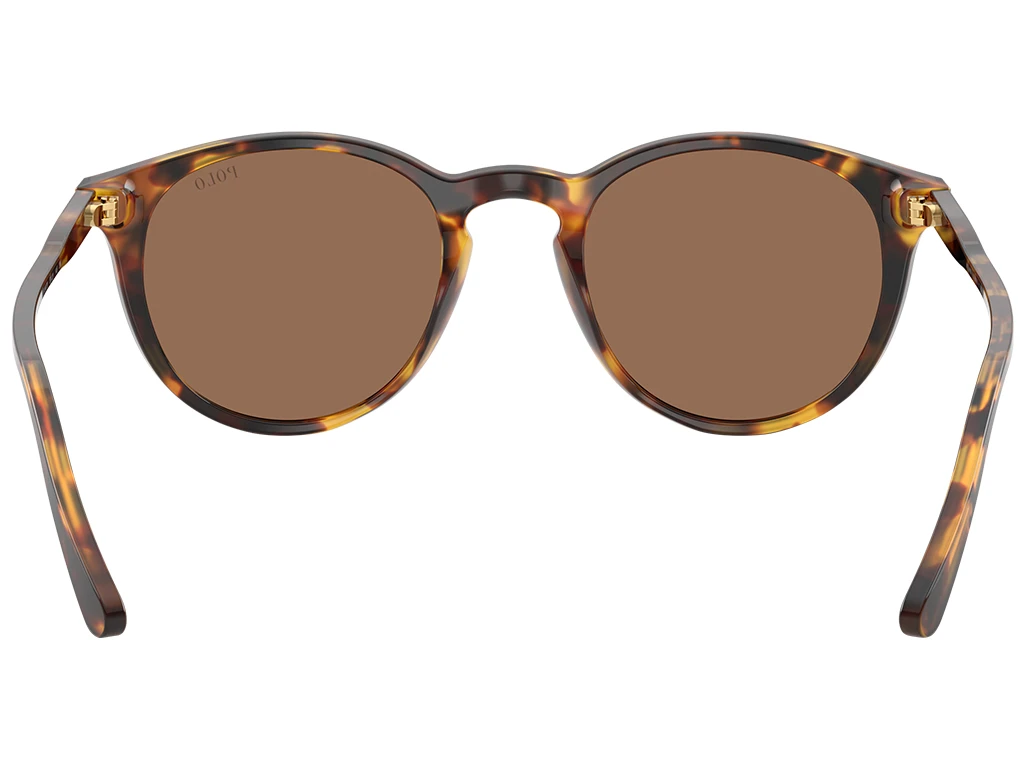 Polo Ralph Lauren PH4110 513473 Havana 50