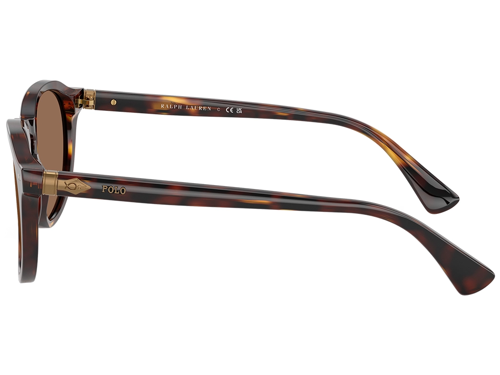 Polo Ralph Lauren PH4221 613773 Brown Tortoise 52