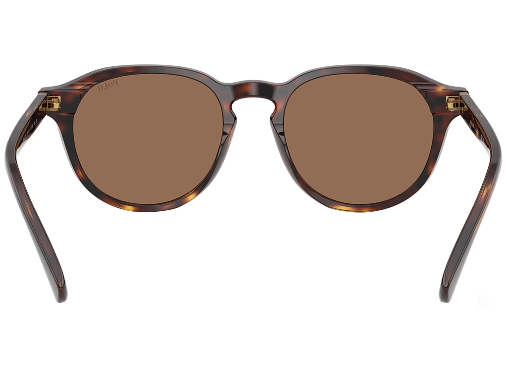 Polo Ralph Lauren PH4221 613773 Brown Tortoise 52