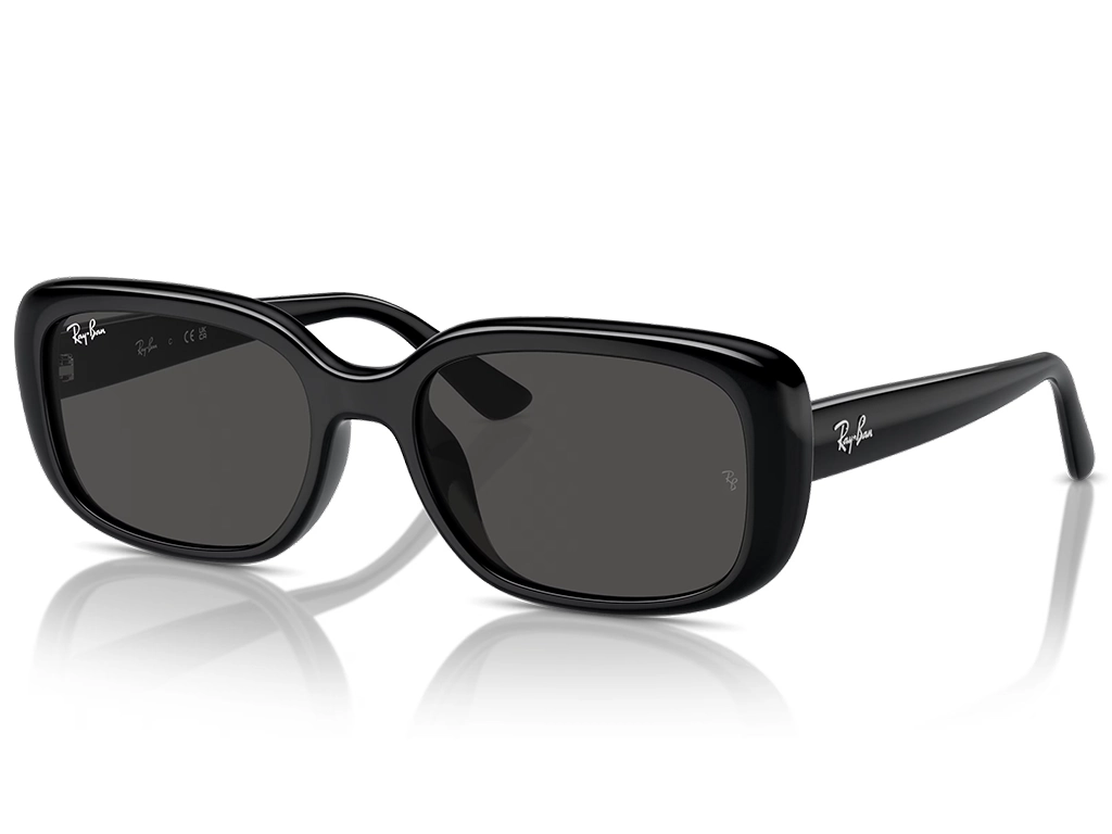 Ray-Ban RB4421D Bio-Based 667787 56 Black