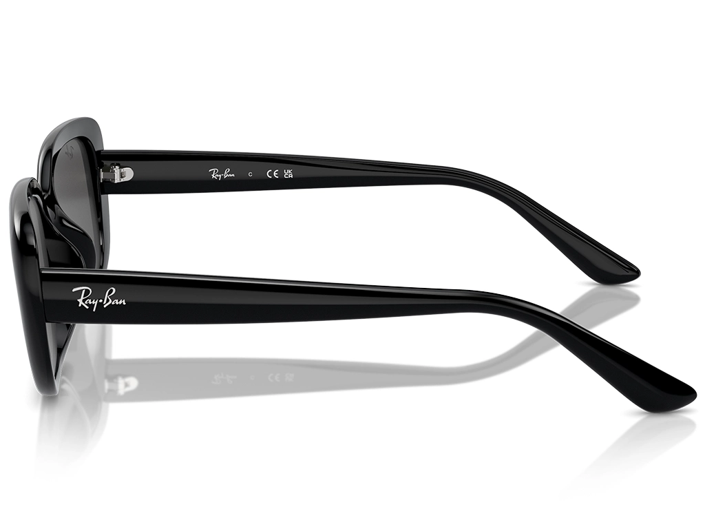 Ray-Ban RB4421D Bio-Based 667787 56 Black