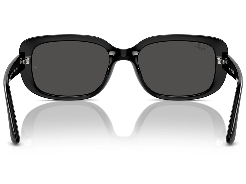 Ray-Ban RB4421D Bio-Based 667787 56 Black