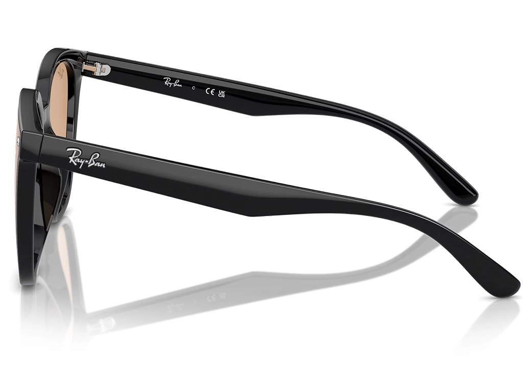 Ray-Ban RB4423D 601/93 66 Black