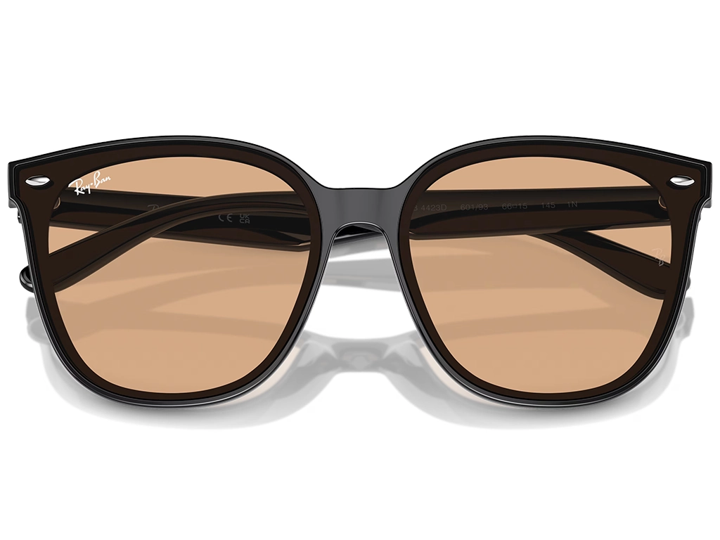 Ray-Ban RB4423D 601/93 66 Black