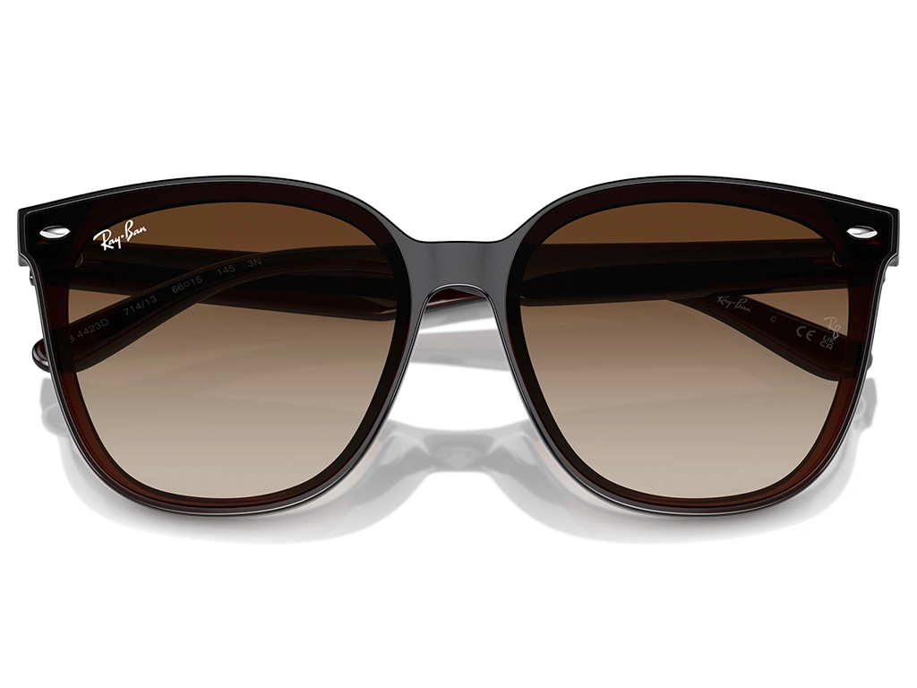 Ray-Ban RB4423D 714/13 66 Transparent Brown Gradient