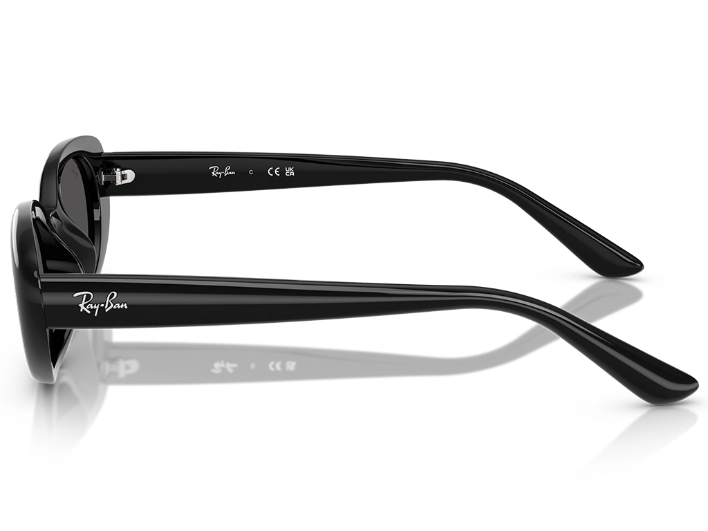 Ray-Ban RB4441D Bio-Based 667787 53 Black