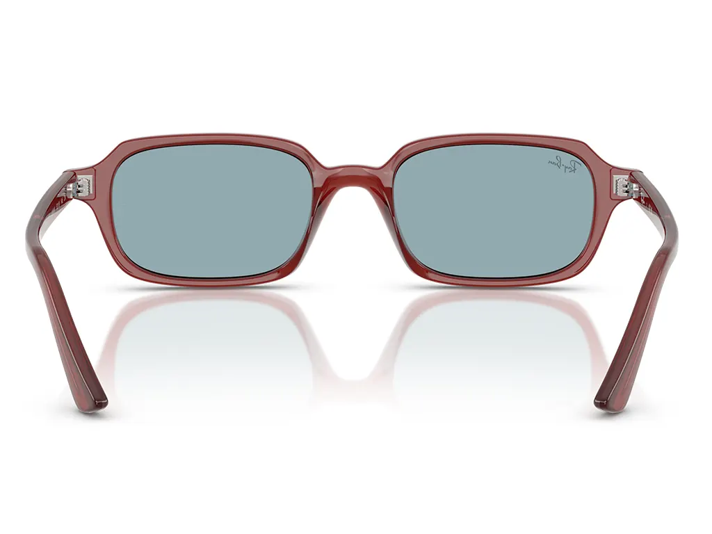 Ray-Ban RB4455 680980 Rusty Brown 49