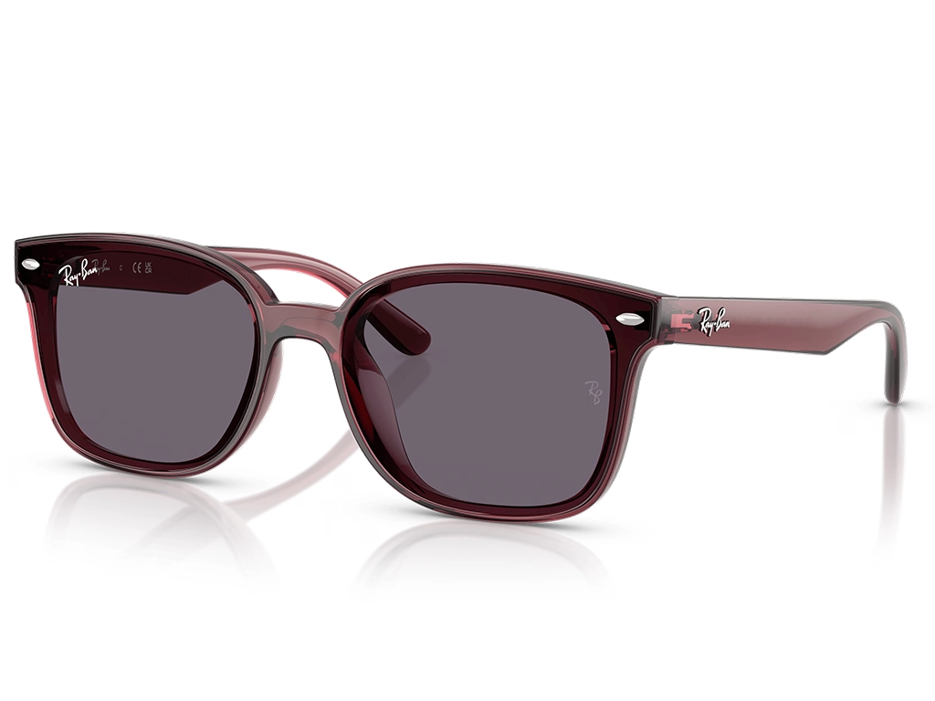 Ray-Ban RB4461D 659373 64 Transparent Dark Brown