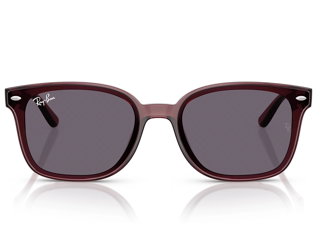 Ray-Ban RB4461D 659373 64 Transparent Dark Brown