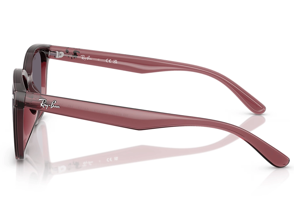 Ray-Ban RB4461D 659373 64 Transparent Dark Brown