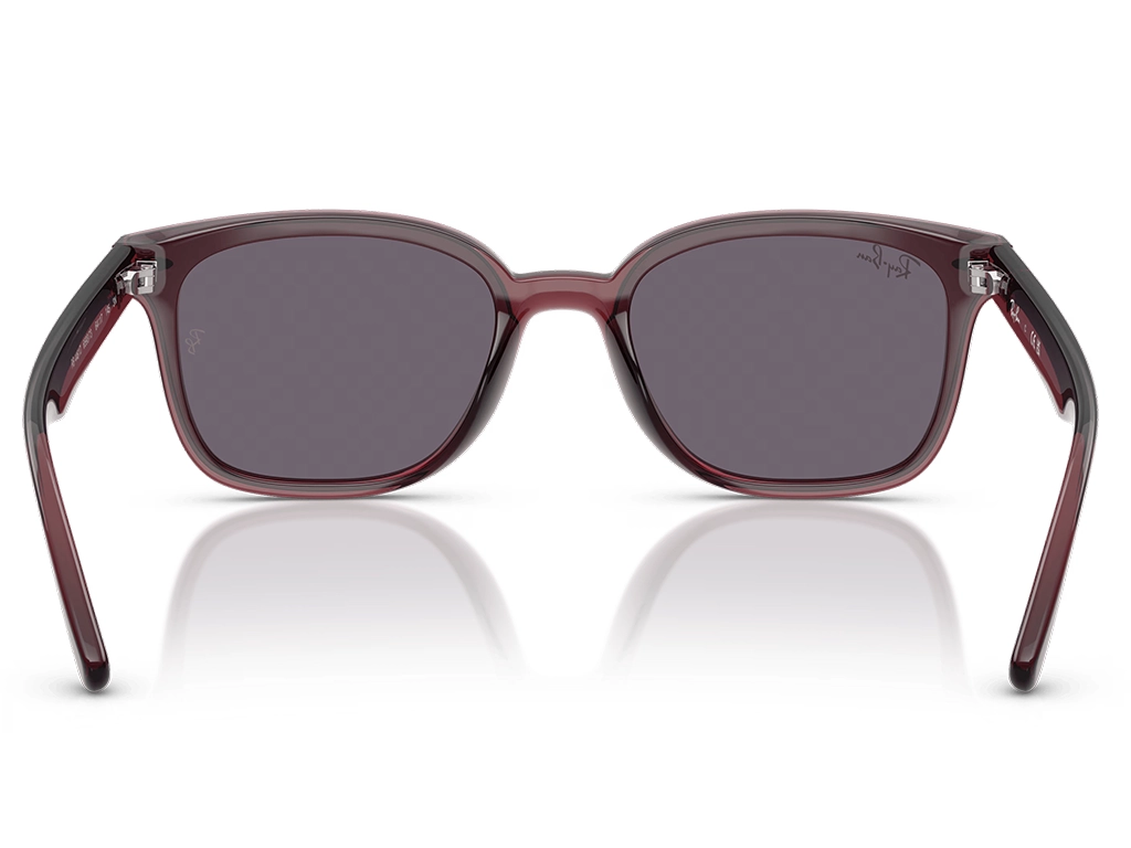 Ray-Ban RB4461D 659373 64 Transparent Dark Brown