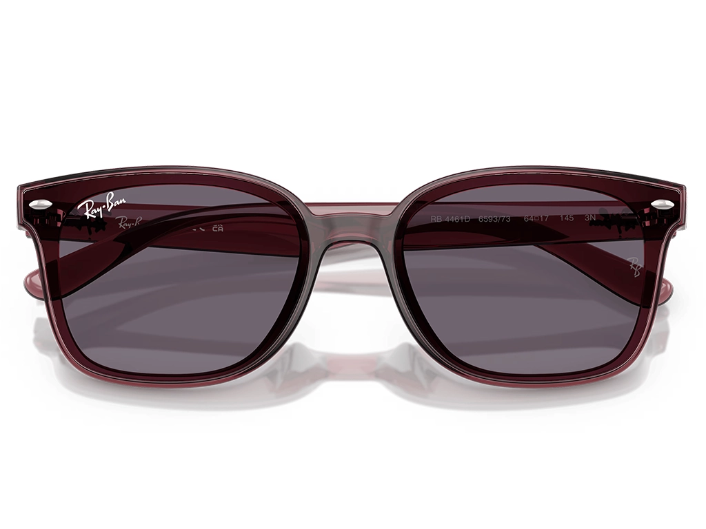 Ray-Ban RB4461D 659373 64 Transparent Dark Brown