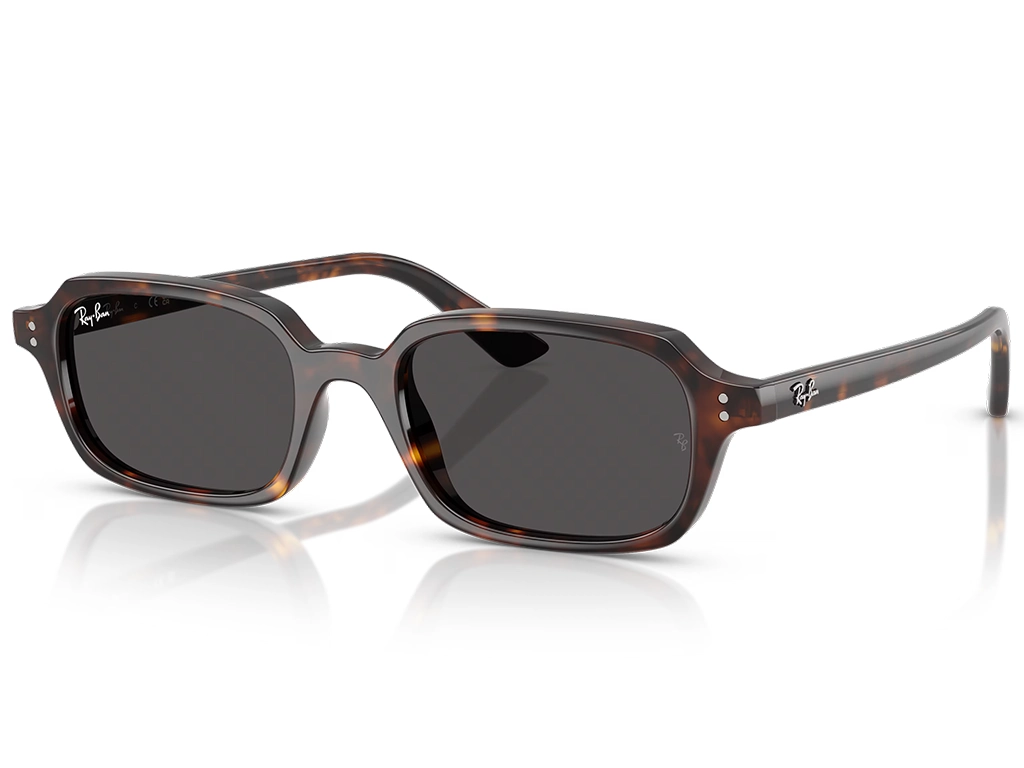 Ray-Ban Zuri RB4455 135987 49 Tortoise