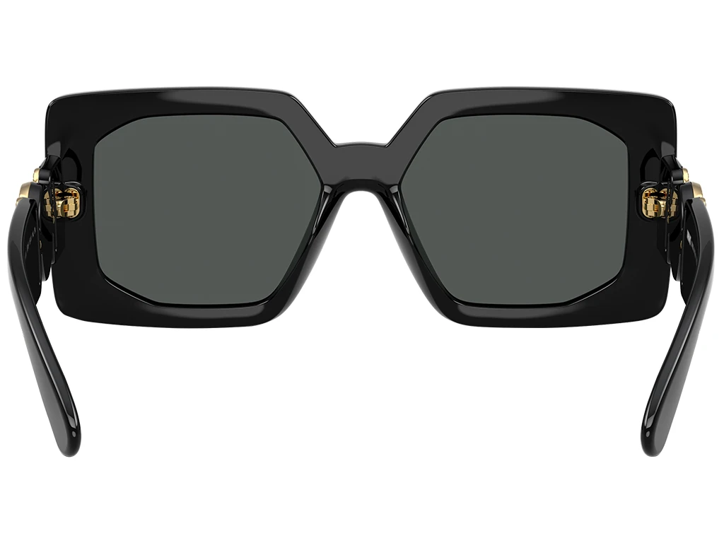 Versace VE4478U GB1/87 Black 55