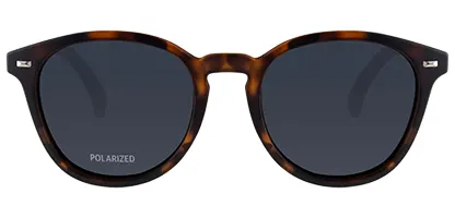 Bandwagon 51 Matte Tort Polarised