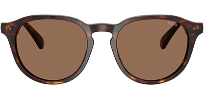 PH4221 613773 Brown Tortoise 52