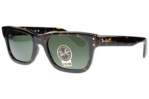 Ray-Ban RB2283 Mr Burbank Havana 902/31