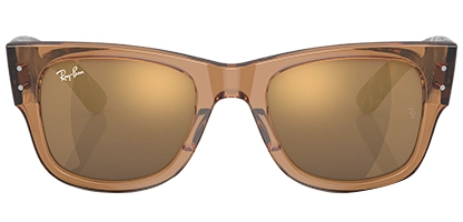 RB0840S Mega Wayfarer Transparent Brown
