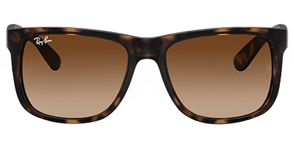 RB4165 Justin Tortoise 710/13