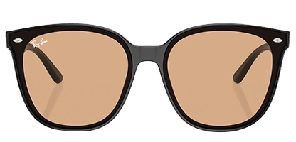 RB4423D 601/93 66 Black