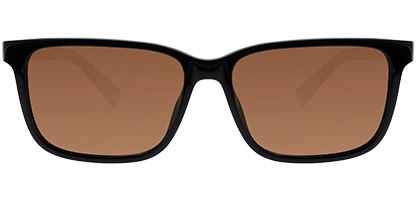 TB00050 01H 53 Shiny Black Polarised