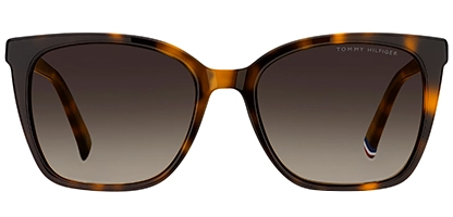 Brown Shaded
