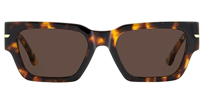 VB7001/S WR9 Brown Havana 53 Gradient