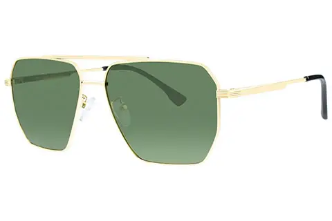 Feel Good Collection Zion Gold Polarised