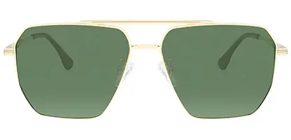  Zion Gold Polarised